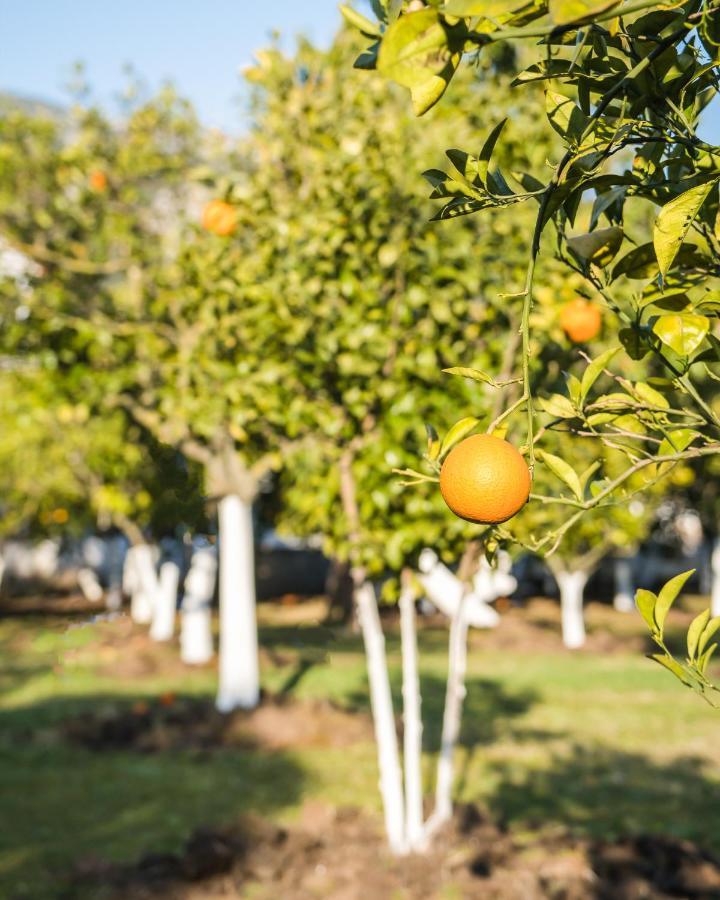 Oase Garden Hotel Çıralı 外观 照片